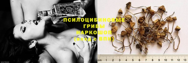 spice Белокуриха