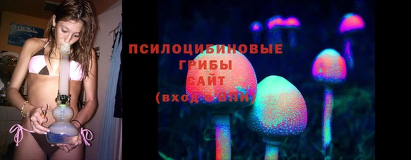 spice Белокуриха