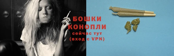 spice Белокуриха